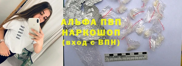 mdpv Бородино